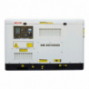 Дизельний генератор NIK DG 12000